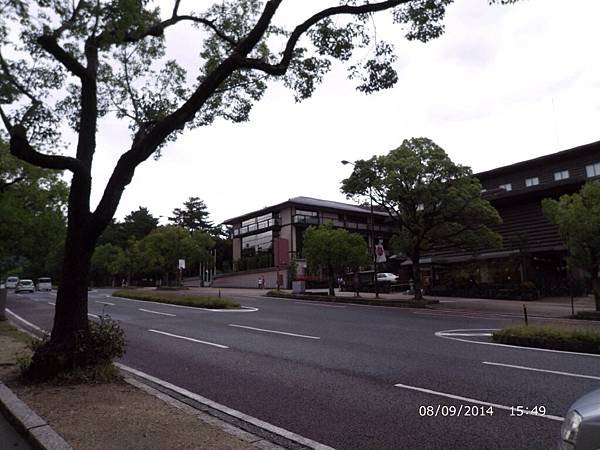 IMG_5091
