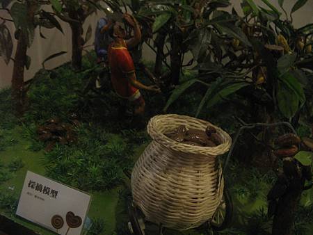 IMG_3009.JPG