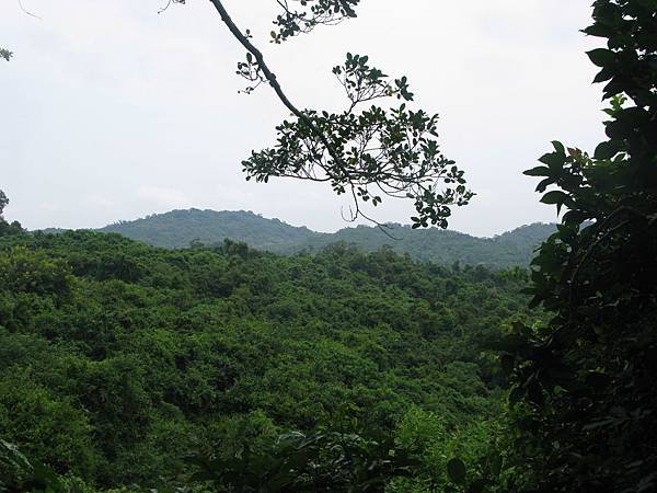 IMG_3215.JPG