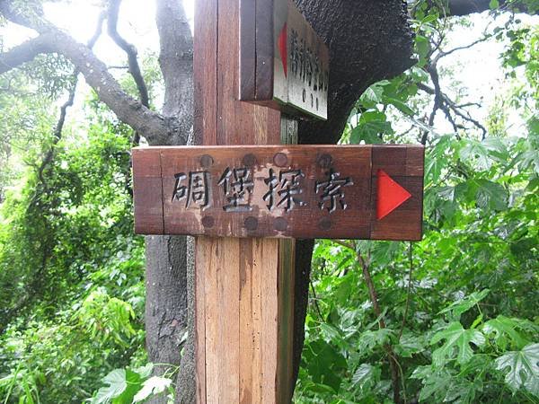 IMG_3345.jpg