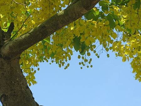 IMG_2933.JPG