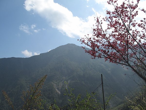 IMG_6770.JPG