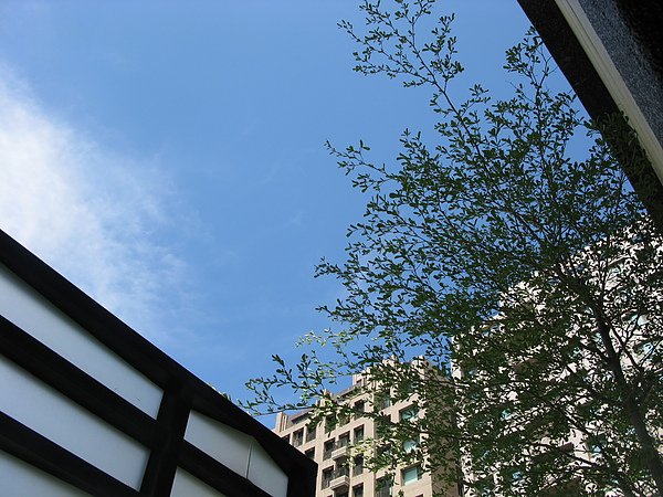 IMG_7513.JPG