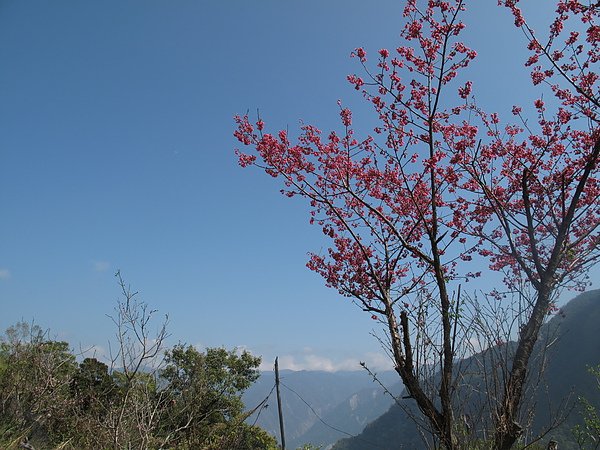 IMG_6771.JPG