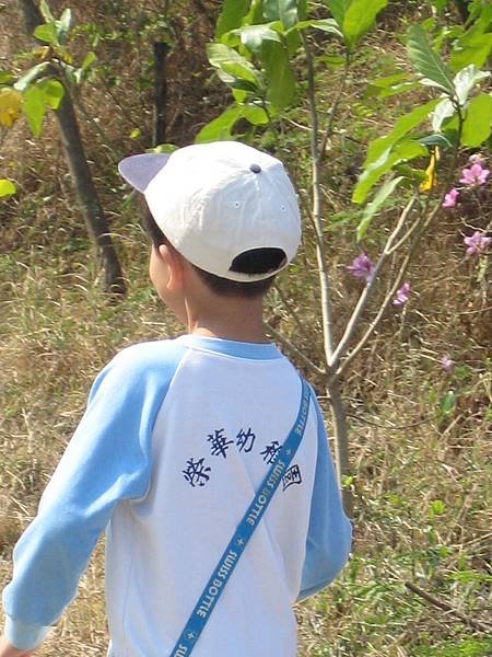 照片 042.jpg