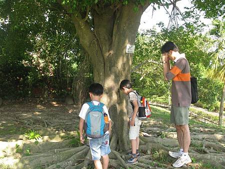 IMG_2957.JPG
