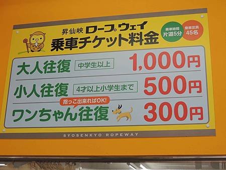 DSCN5293.jpg