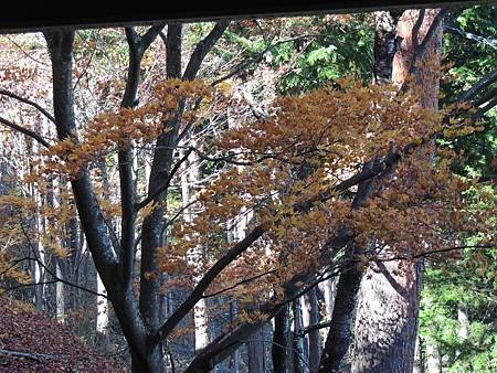 DSCN5307.jpg