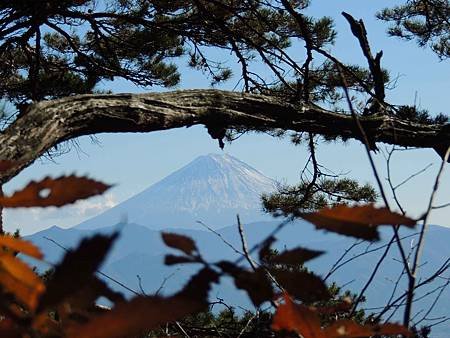 DSCN5329.jpg