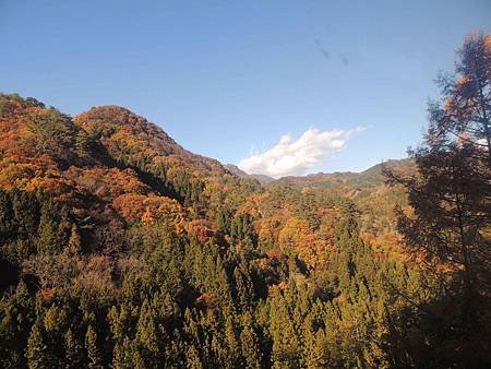 DSCN5347.jpg