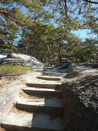 P1490413.jpg