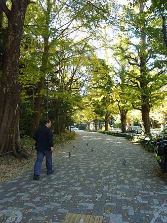 P1490891.jpg