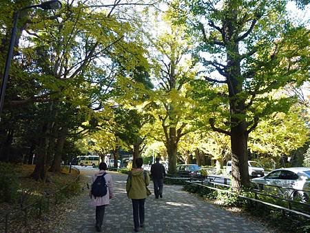 P1490894.jpg