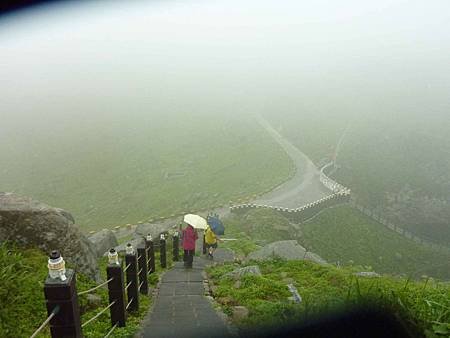P1550641.jpg