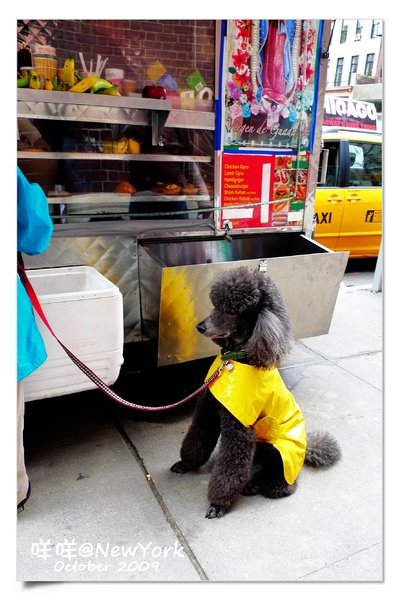 upper east-036-NY Dog.jpg