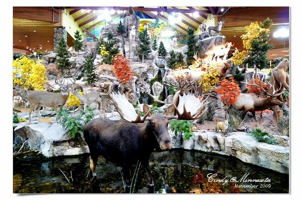 Cabela&apos;s-06.jpg