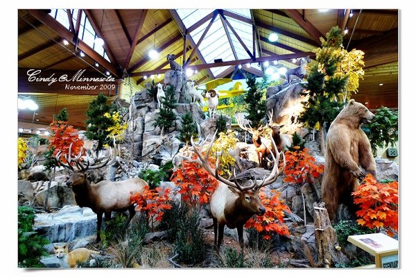 Cabela&apos;s-07.jpg