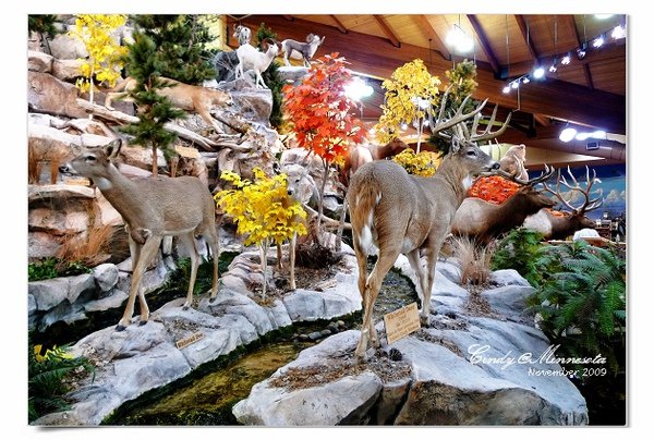 Cabela&apos;s-11.jpg