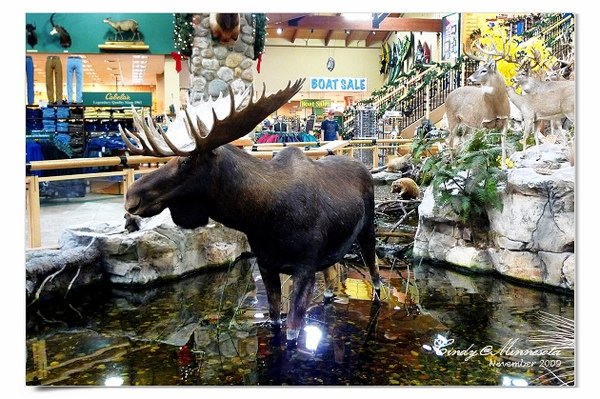 Cabela&apos;s-12.jpg