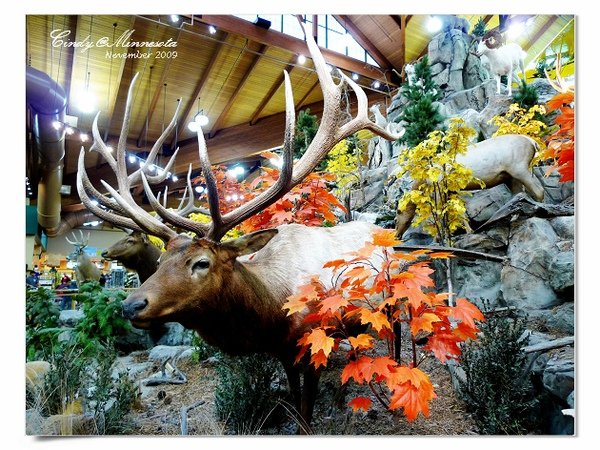 Cabela&apos;s-14.jpg