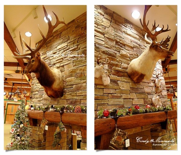 Cabela&apos;s-43.jpg