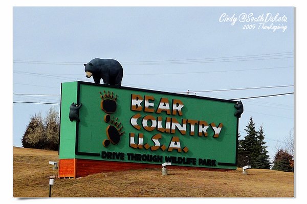 Bear Country-22.jpg