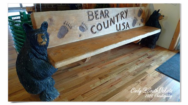 Bear Country-23.jpg