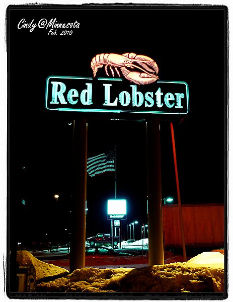 Red Lobster-01.jpg