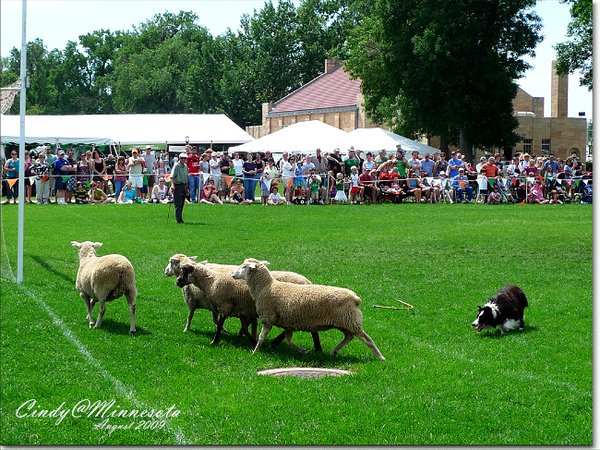 IRISH Fair-03.jpg