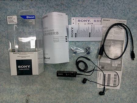 sony DRC-BT30