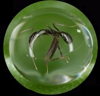 20110805002.jpg