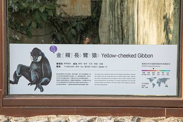🙈壽山動物園在高雄｜童年記憶的起點