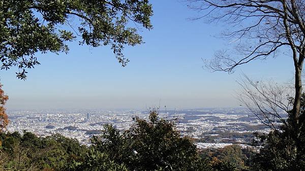 眺望江之島方向的東京