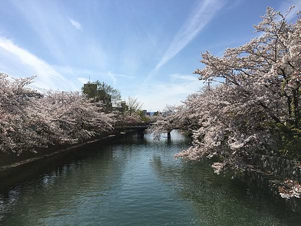 写真 2019-04-13 14 23 26