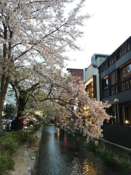 写真 2019-04-13 18 25 10