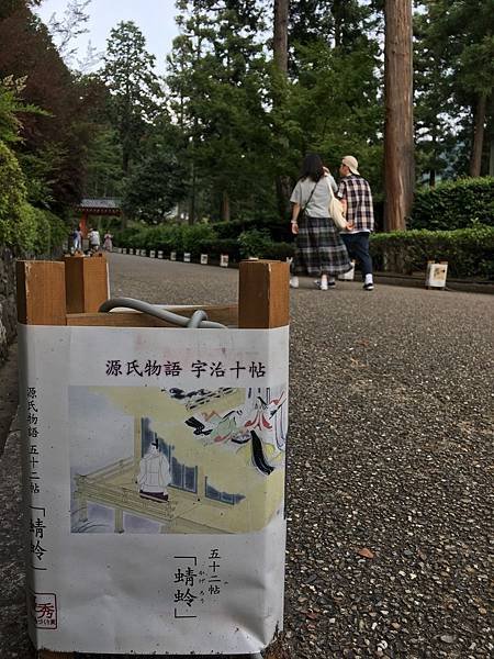 写真 2019-06-19 14 57 47.jpg