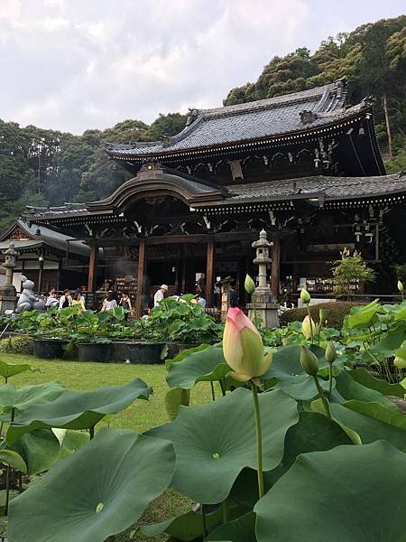 写真 2019-06-19 15 20 44.jpg