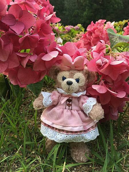 写真 2019-06-19 15 45 27.jpg