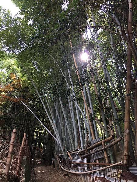 写真 2019-07-07 15 13 35.jpg