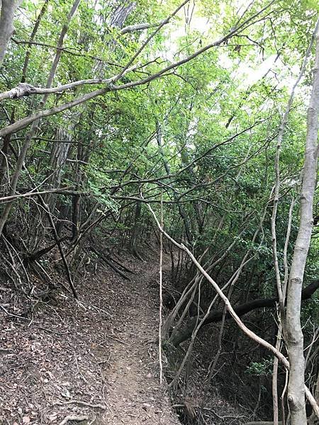 写真 2019-07-07 13 50 02.jpg