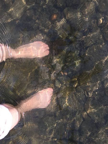 写真 2019-07-07 15 41 48.jpg