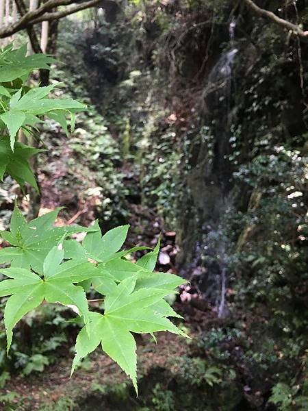 写真 2019-07-28 12 16 55.jpg