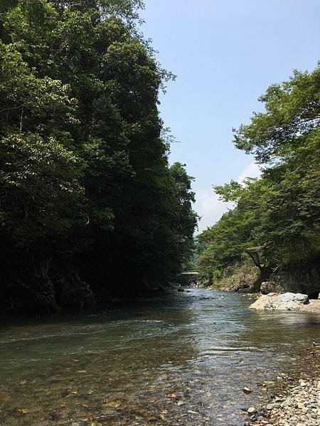 写真 2019-07-28 13 26 00.jpg