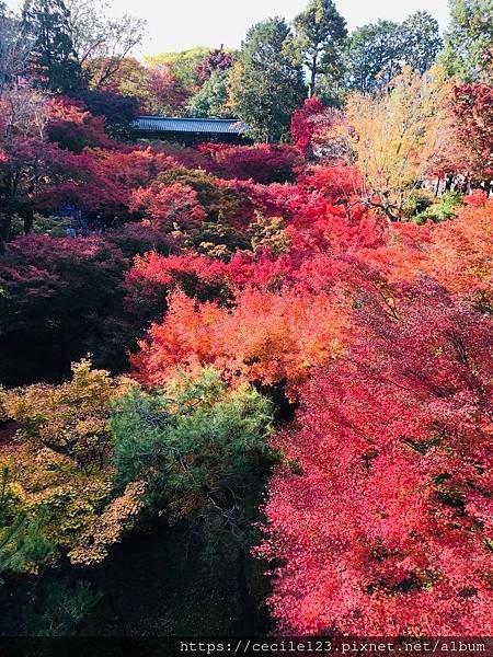 写真 2019-11-21 14 36 58.jpg