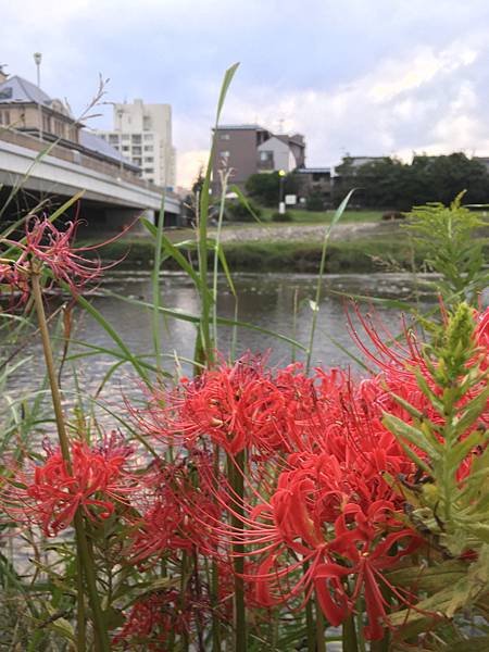 写真 2020-10-03 17 21 32.jpg