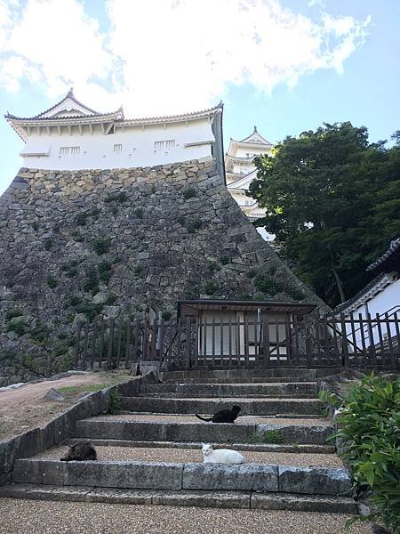 写真 2021-5-22 16 48 27.jpg