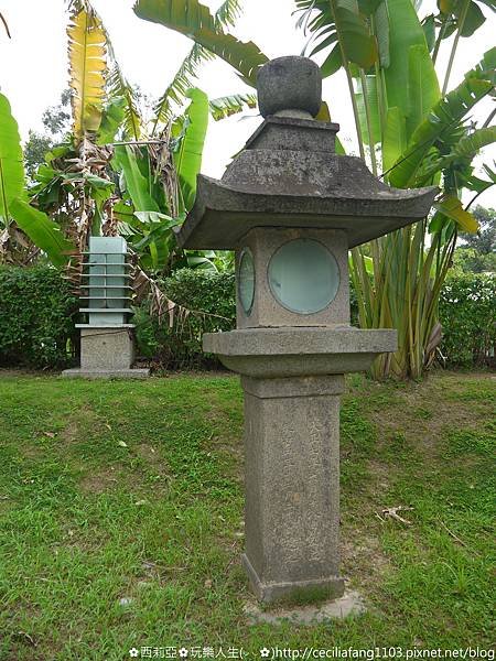 P1150345.jpg