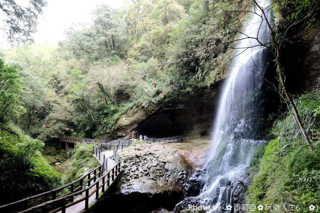 南投竹山鎮｜杉林溪生態森林渡假園區 絕美飛瀑鐘乳石洞奇景 杉