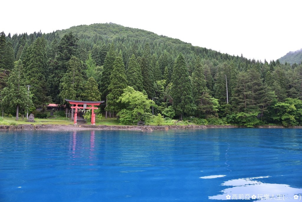 【日本。秋田縣】浪漫琉璃色！美麗與傳說『田澤湖』，搭乘觀光遊
