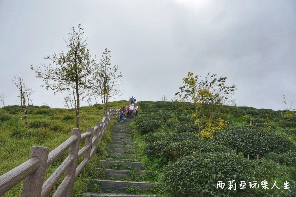 南投鹿谷一日遊景點推薦｜精選8個南投鹿谷景點攻略 深秋銀杏最